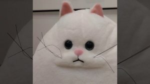 Школа котов😻👻