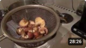 Маринование маслят и как быстро снять пленочку с шапки масленка грибы