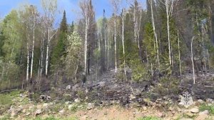 Пожар в Турочакском районе Республики Алтай
