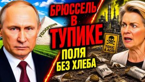 СОКРУШИТЕЛЬНЫЙ РЕКОРД РОССИИ! ЕВРОПА ОСТАЛАСЬ БЕЗ «ХЛЕБА»!