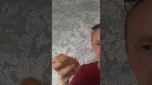 показ цыплят 🐤