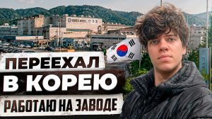 КАК ВЫЖИВАЕТ РУССКОЯЗЫЧНАЯ МОЛОДЕЖЬ В ЮЖНОЙ КОРЕЕ: ПЕРЕЕХАЛ В ЮЖНУЮ КОРЕЮ БЕЗ ДЕНЕГ, ЧТО ВЫШЛО?