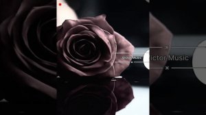 Video (Victor Music)