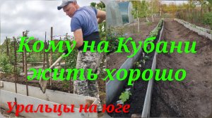 Рыба моей мечты.Майский май.Школка для саженцев