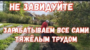 249🏡Сами от себя не ожидали/Трудовой день/Бумеранги вернутся вам