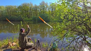 РЫБАЛКА НА ДИКОМ ЛЕСНОЕ ОЗЕРО. КРУПНЫМ ПЛАНОМ ПОПЛАВОК ПЕРО.