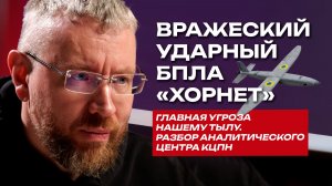 Вражеский массовый ударный БПЛА «Hornet» — новая главная угроза нашему тылу