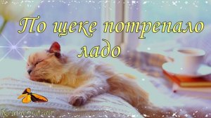 ДРУЗЬЯ МОИ !!!   С ДОБРЫМ УТРОМ И ЧУДЕСНЫМ ДНЕМ !!!