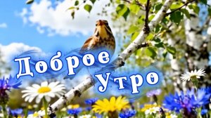 Доброе утро! Песня с добрым утром