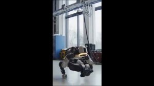 Hyundai показала робота, который выполняет стойку на руках и сложные гимнастические трюки. Как сообщ