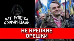 Вся правда утекла в шаровары. Чат рулетка с украинцами.