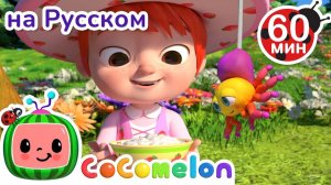 Паучок на Завтрак # Сборник 1 час # CoComelon на русском — Детские песенки