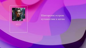 Шантарские острова: путешествие к китам