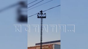 Посетитель торгового центра залез на 20-метровый столб и стал на нём раздеваться