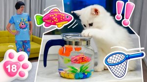 Ночные проказы Кефира! Маша Капуки греет молоко и укладывает котёнка спать