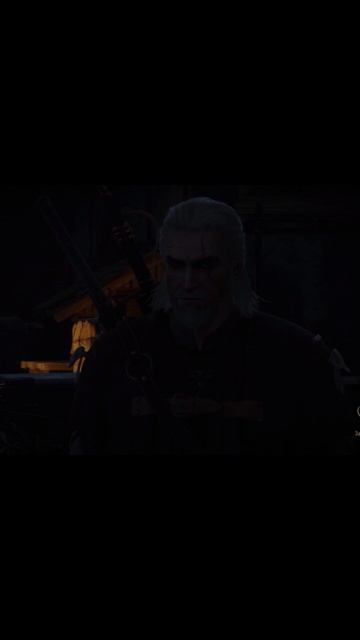 Квест "Сейчас или никогда"- спасение чародеев | #witcher3 #games #rpg