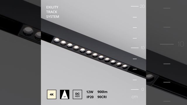 Светильник Maytoni Exility Points TR031-2-12W4K-B смотреть онлайн