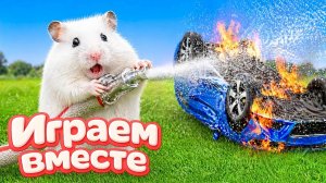 ХОМЯК ВЫБИРАЕТСЯ ИЗ СЕКРЕТНОЙ ХОМЯЧЕЙ ТЮРЬМЫ ! Играем ВМЕСТЕ ! Помогаем выбраться из лабиринта !25