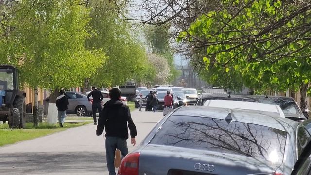 свадьба Мусалини смотреть онлайн