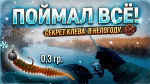Погода не помеха. Промок до нитки, но НАЛОВИЛ! Мормышинг весной.