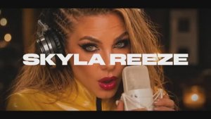 Skyla Reeze — Losing my connection