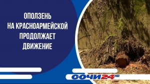 Оползень на Красноармейской продолжает движение