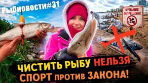 Рыбновости № 31 ОТНИМУТ ЛОДКУ ЗА ЧИСТКУ РЫБЫ! НЕправильный чемпионат, Анапа в мазуте, браконьеры...
