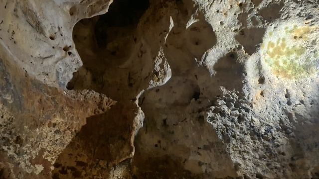 VID_20260430_120837_019
