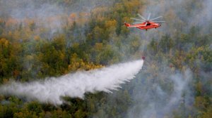 Более ста парашютистов и десантников прибыли в Тыву для ликвидации лесных пожаров