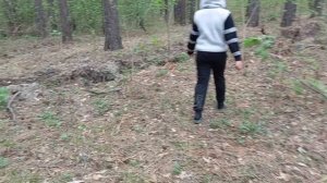 Прогулка в лес🌿🍀