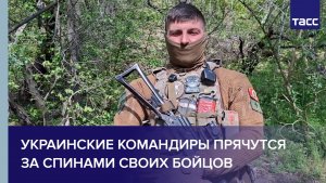Экс-солдат ВСУ Борзый: украинские командиры прячутся за спинами своих бойцов