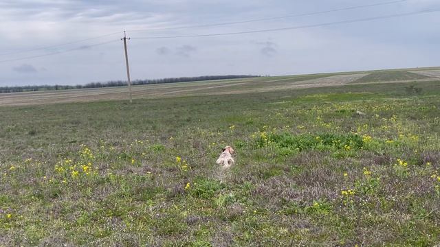 Потяжка смотреть онлайн