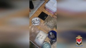 Полицейские изъяли у жительницы Ижевска 6 кг запрещенных веществ, которые она намеревалась сбыть