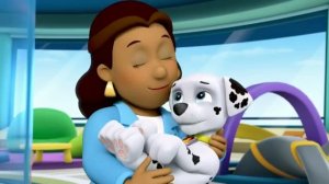 Щенячий патруль 1 сезон 4 серия Nick Jr Россия мультики для детей