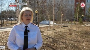 Осторожно! Начался сезон активности клещей