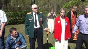 Сирень Победы