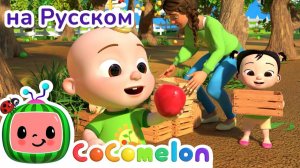 Считаем Яблоки на Ферме - Новая Серия✨ # CoComelon на русском — Детские песенки