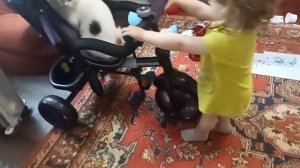 07-05-2026 учим кота котаться на велосипеде)))