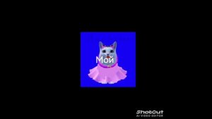 shotcut-20260507-091937.mp4
