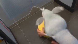 Буба 20 серия Супермаркет Мультики для детей