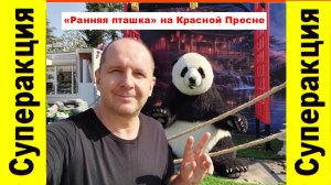 БЕСПЛАТНАЯ СУПЕРАКЦИЯ! «Ранняя пташка» на Красной Пресне
