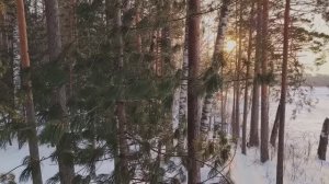 ЧЕМ ДАЛЬШЕ В ЛЕС, ТЕМ ЛУЧШЕ КОЛБАСА
