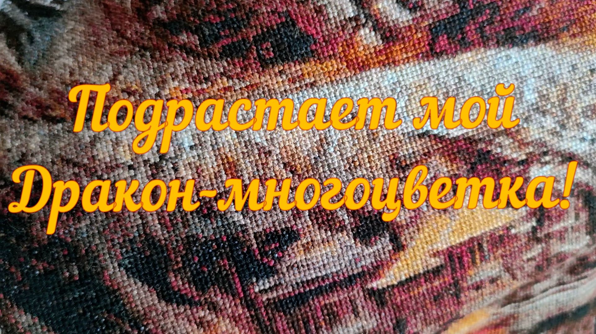 Подрастает мой Дракон-многоцветка!