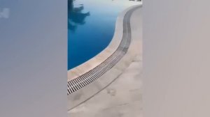 Абсолютный вызов «Попробуй не засмеяться»! 😆 Самые смешные видео всех времён!