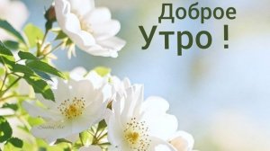 С добрым солнечным утром. Красивая музыкальная открытка.