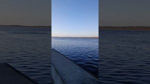 Послание от Гайи