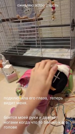 как оживить игрушку. оживляю астро. астро мир денди. мир денди