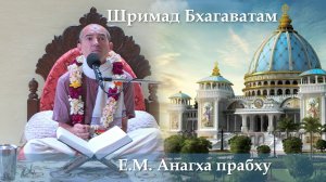 7.05.2026 || Шримад Бхагаватам 11.7.52 | Е.М. Анагха прабху
