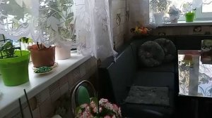 БОРЮСЬ С ТРАВОЙ🌱 ВЫЗВАЛА СЛЕСАРЯ👷 ВОТ ТАК И ЖИВЕМ😊