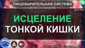 Восстановление Тонкой Кишки  Мощное Пищеварение Здоровье ДПК, Тощей Кишки и Подвздошной Кишки